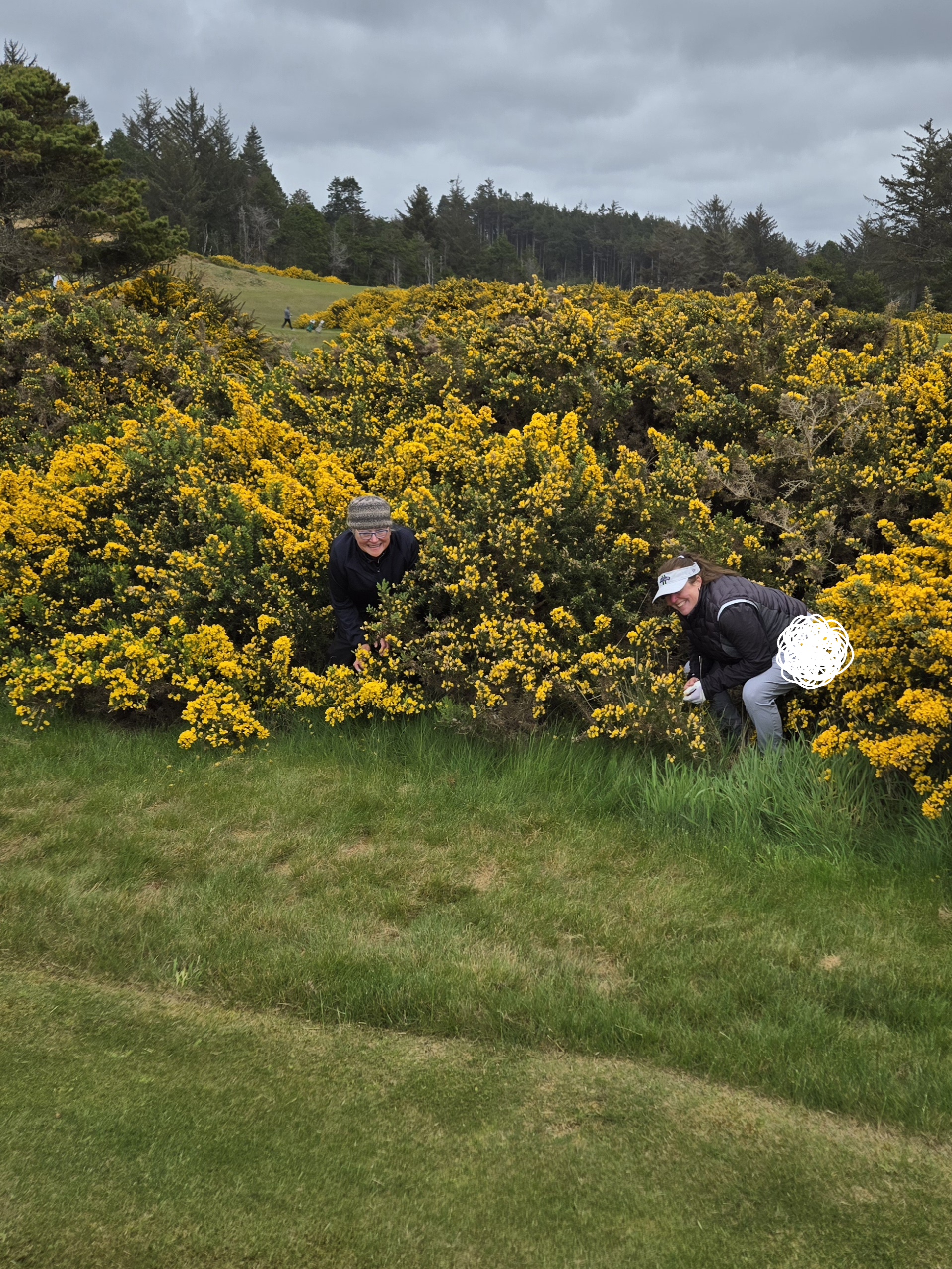 Bandon
