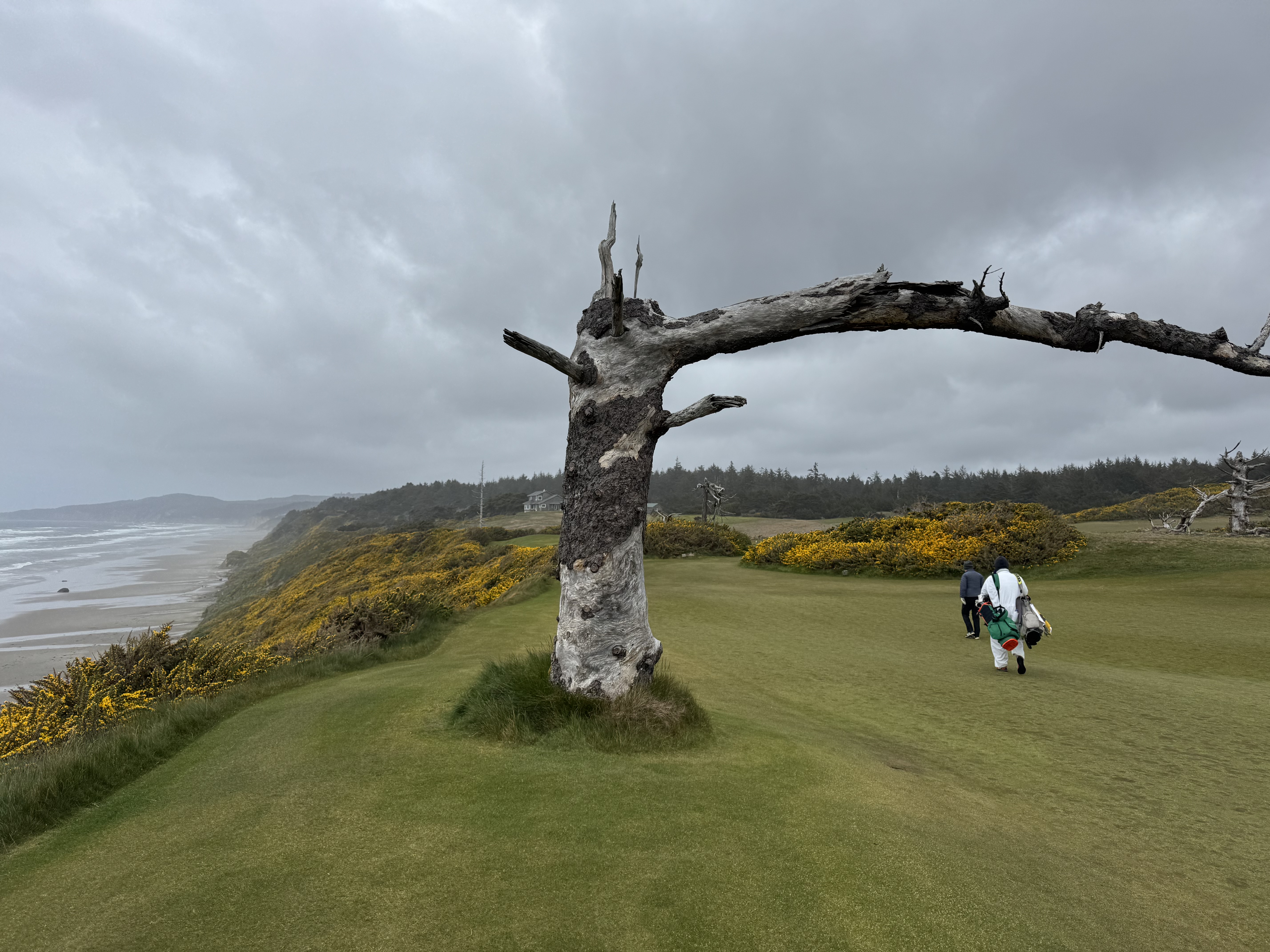 Bandon